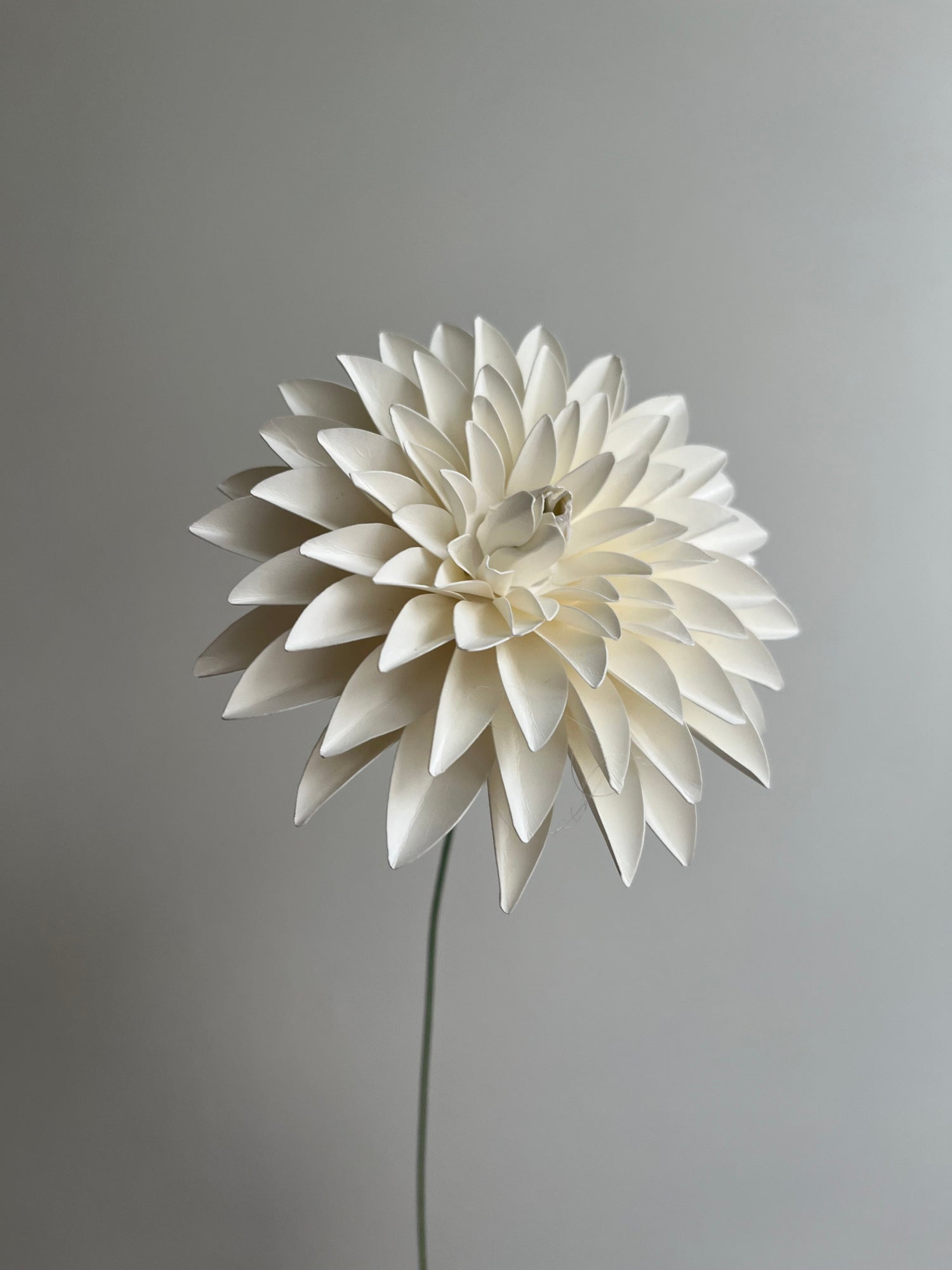 Blomster citat