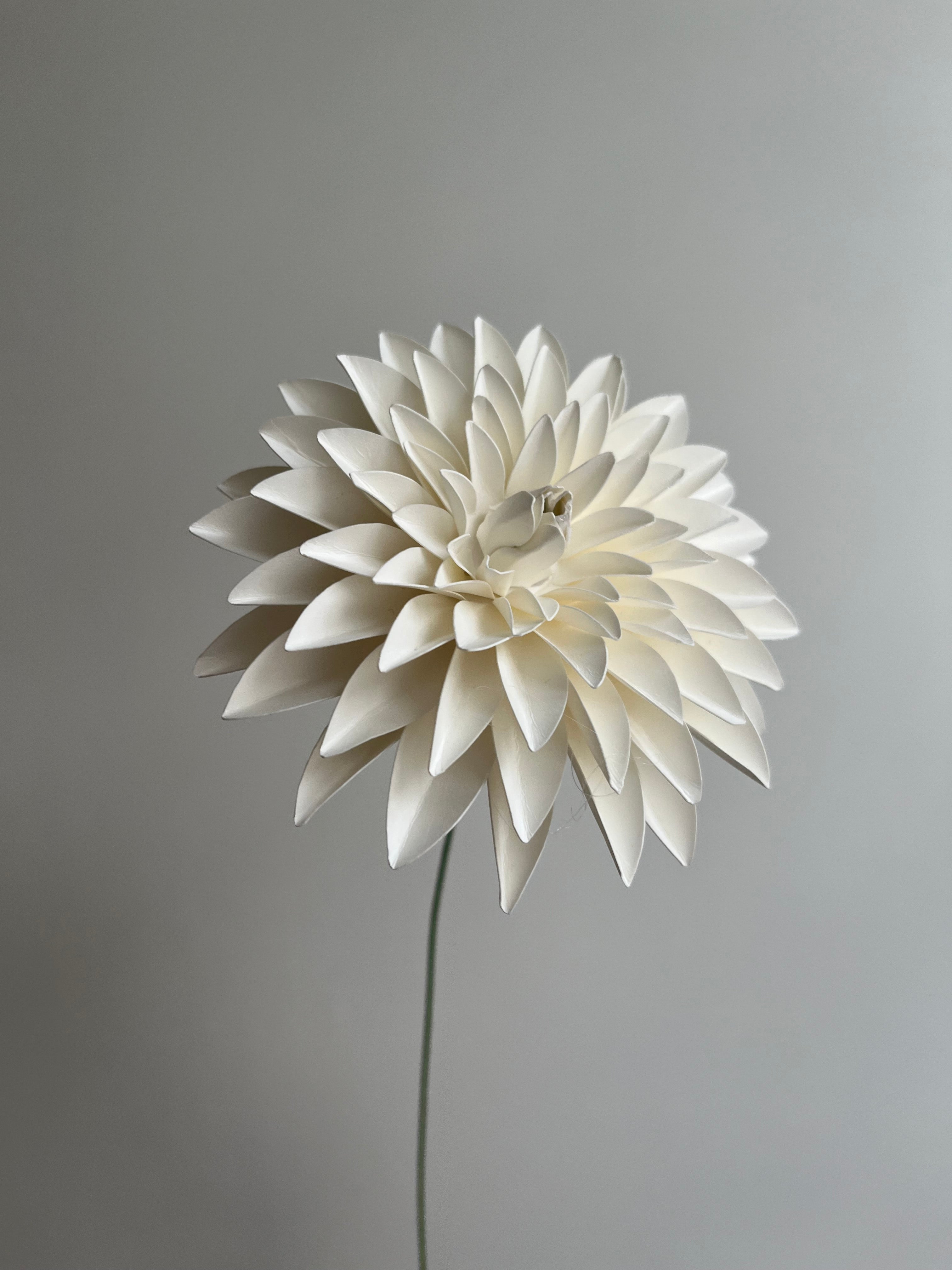 Blomster citat