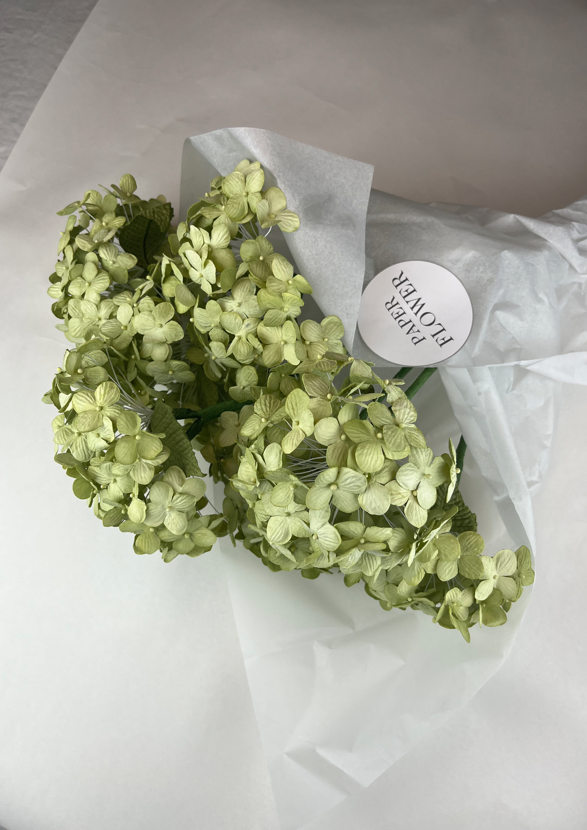 papirblomst hortensia