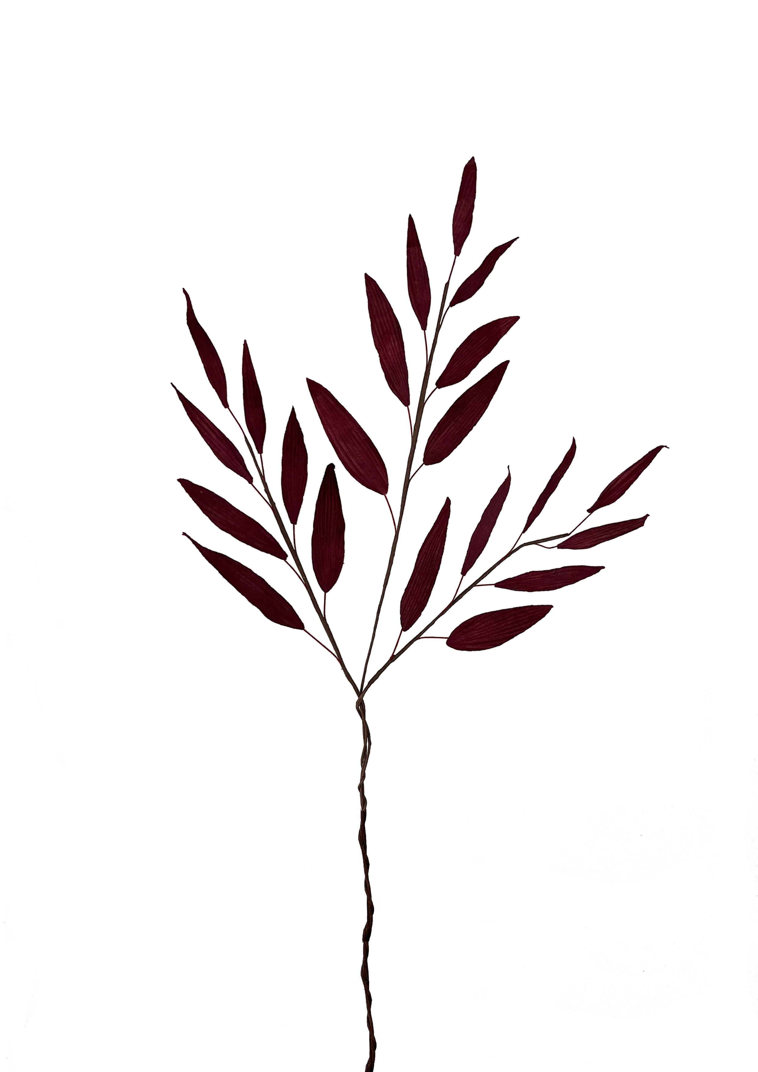 Papir blad
