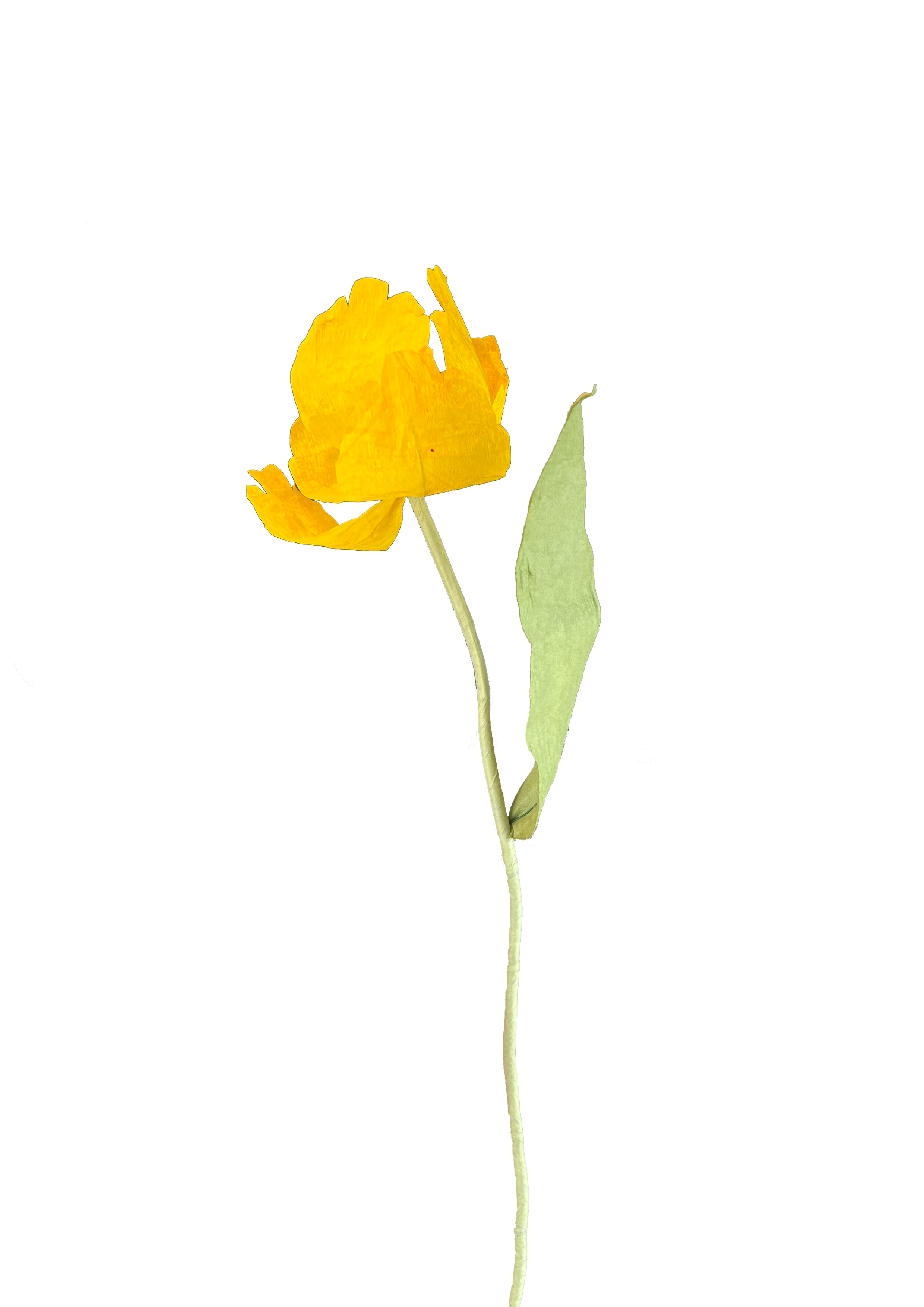 En elegant gul tulipan i papir, der symboliserer tidløs skønhed og en touch af natur i dit hjem.
