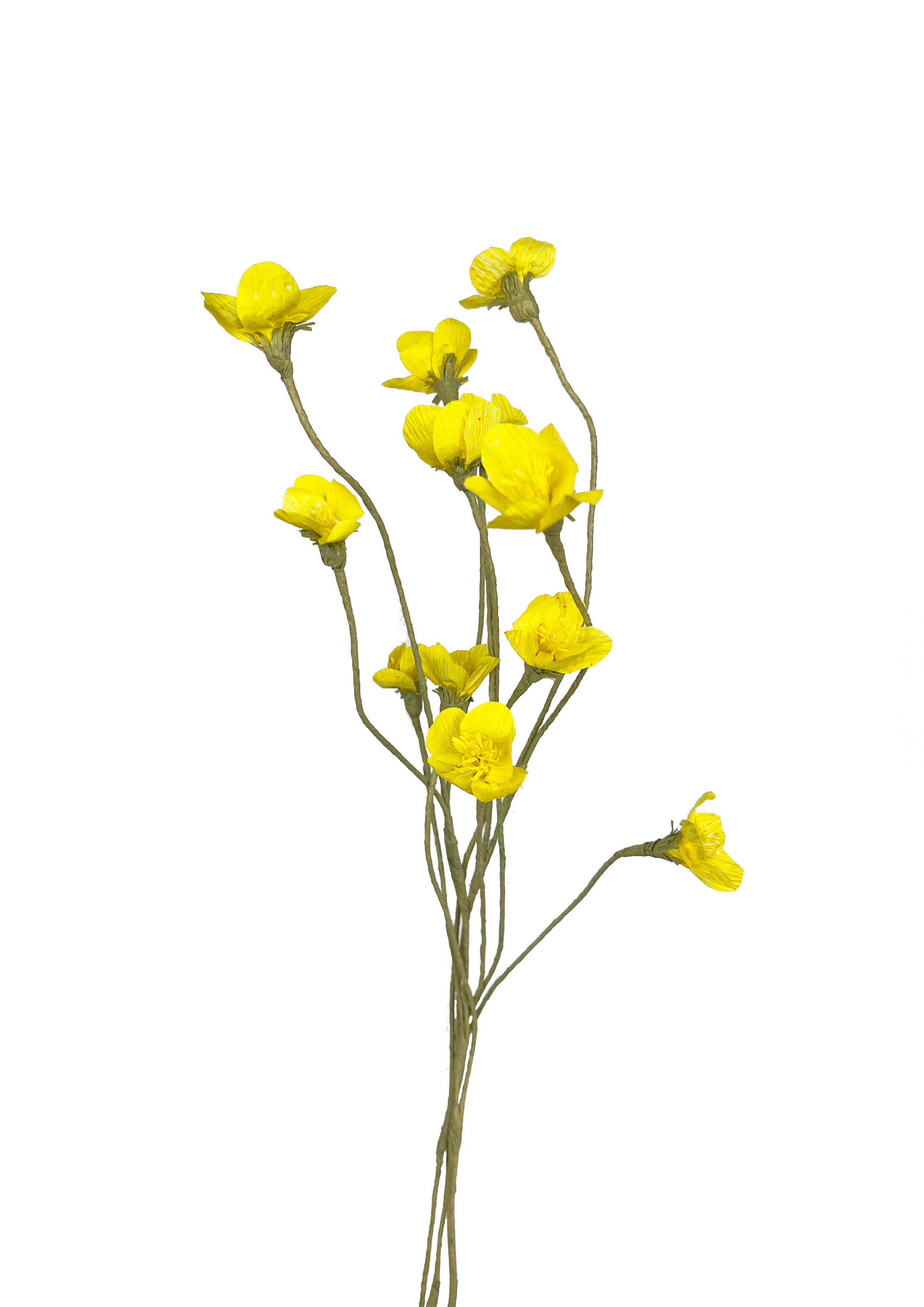 Gul smørblomst i papir med livlig gul farve og realistisk design.