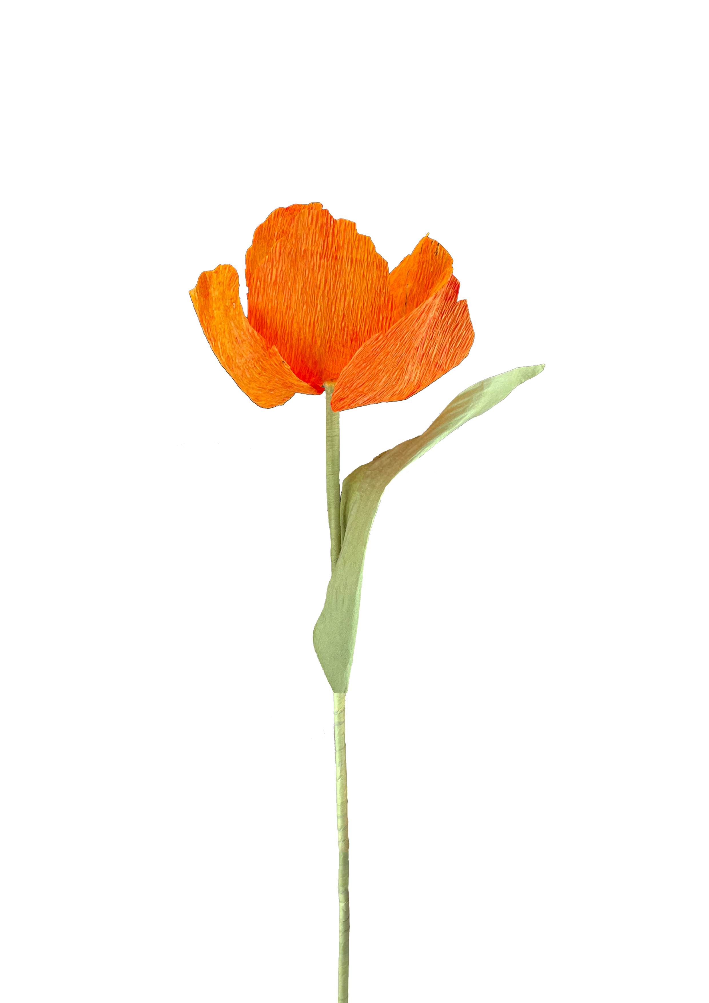 Tæt op af vores strålende orange tulipan i papir, der viser den livlige farve og detaljerede håndværk.