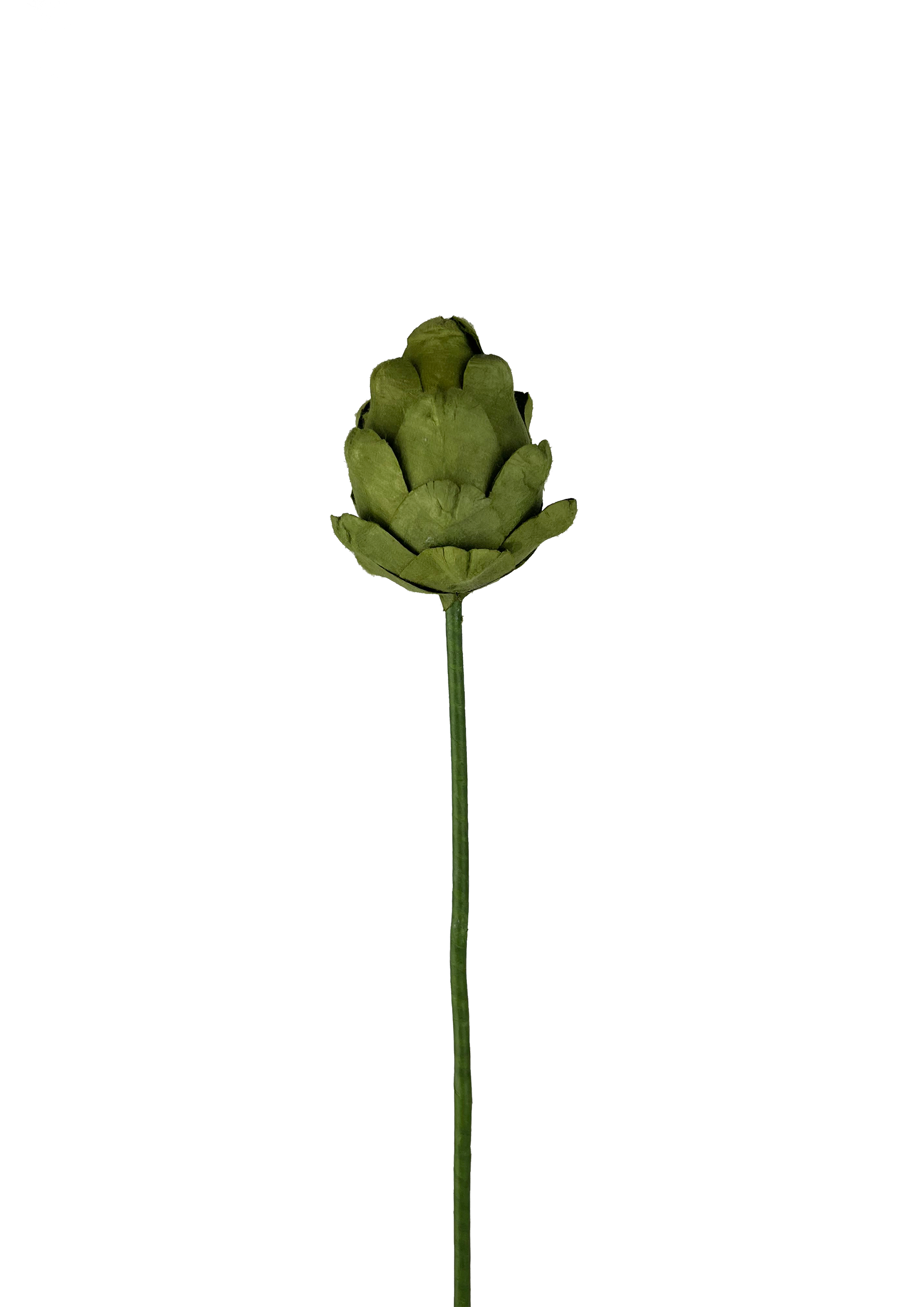 Papir artiskok
