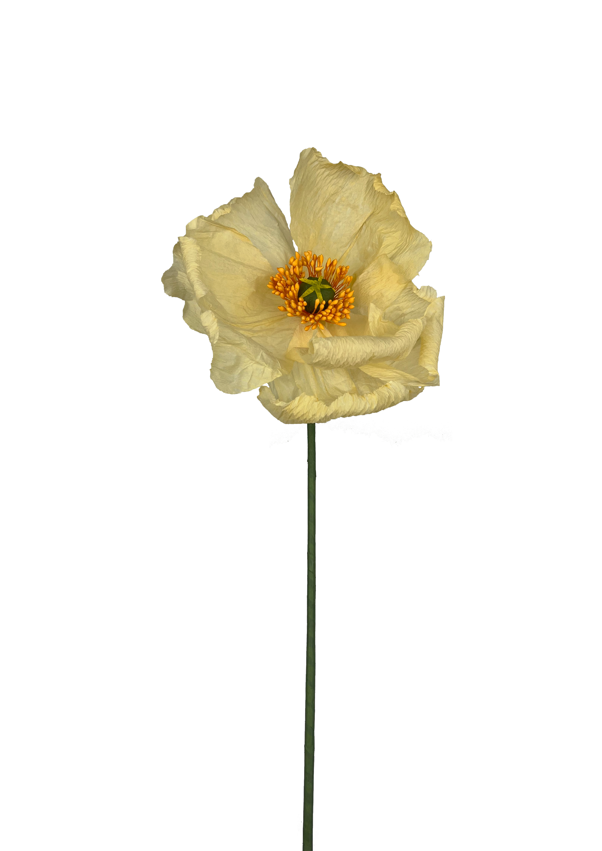 papirblomst poppy