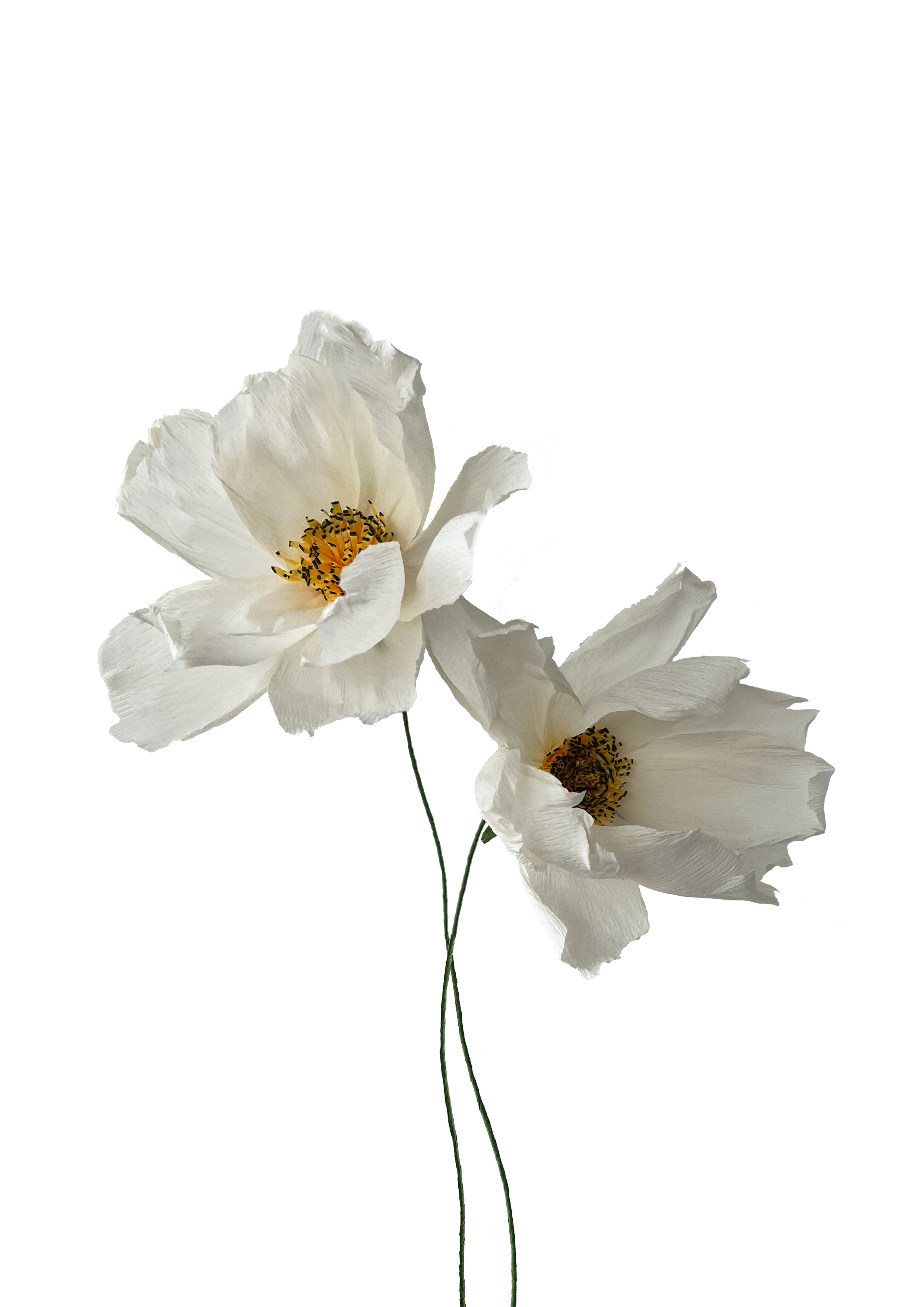 papirblomst