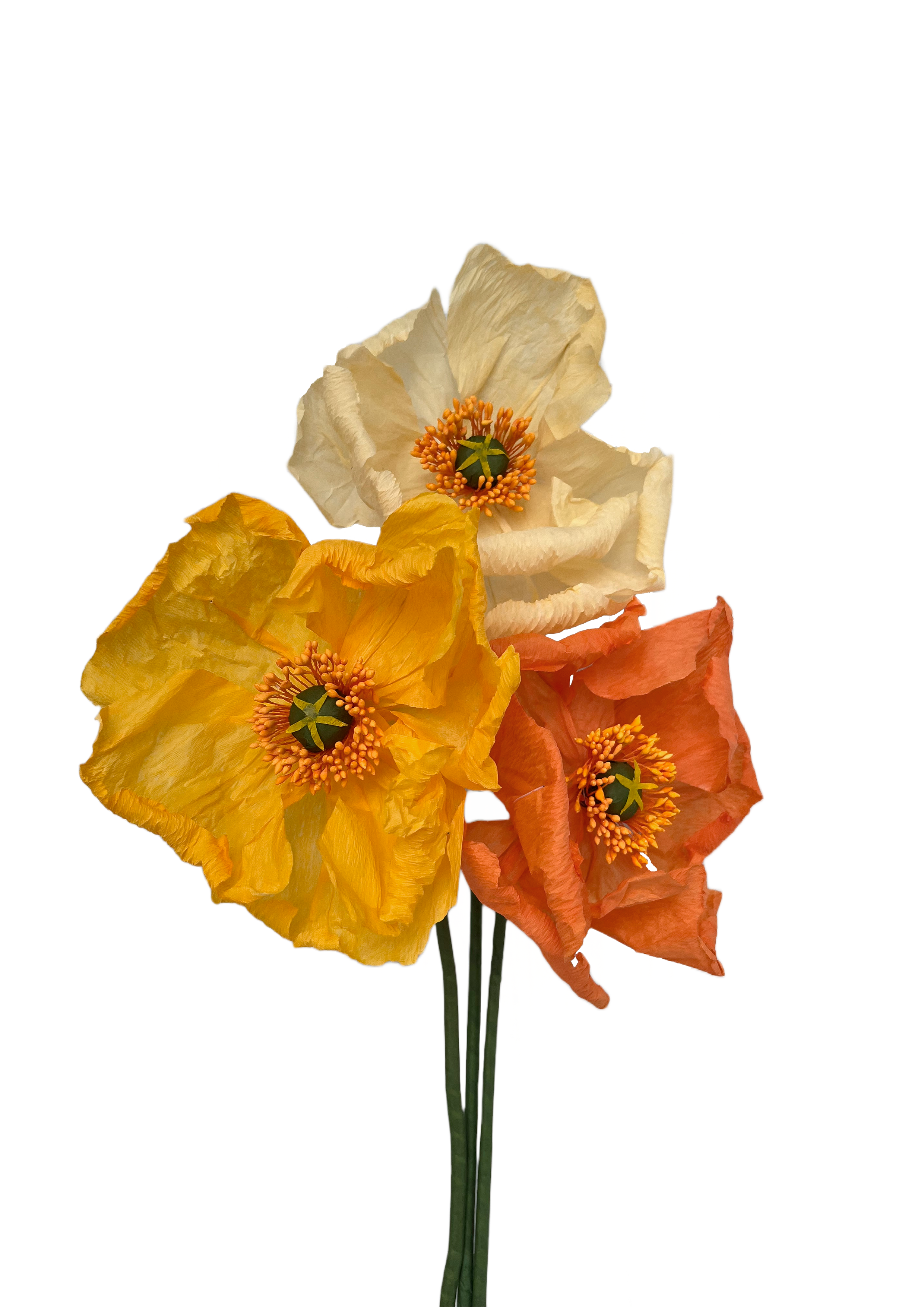 papirblomster poppy
