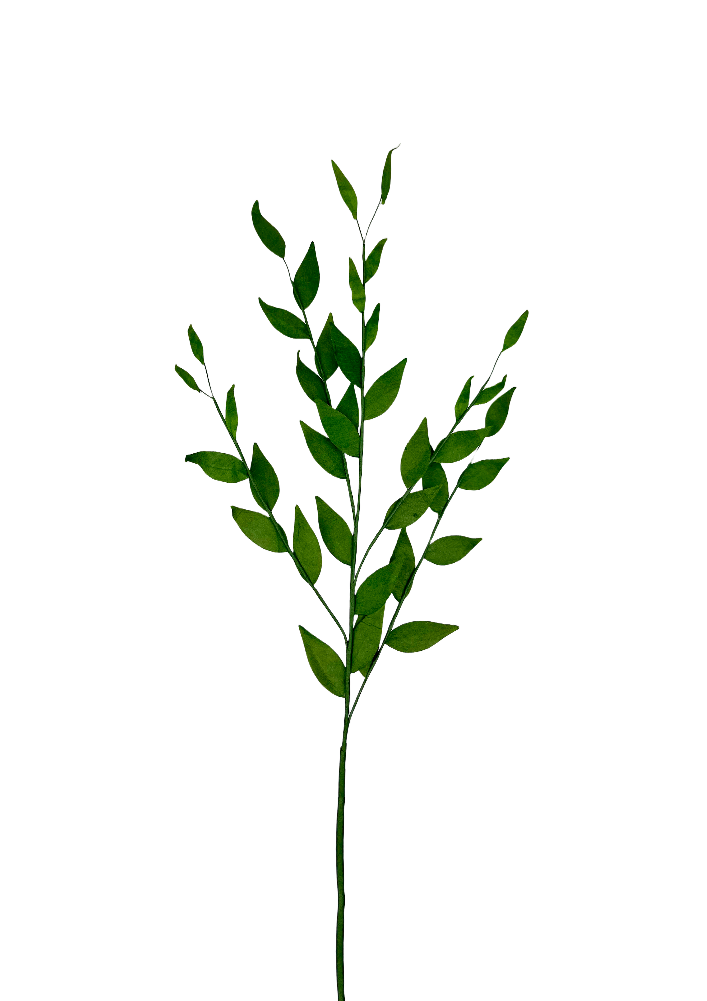 Papirblomster strå