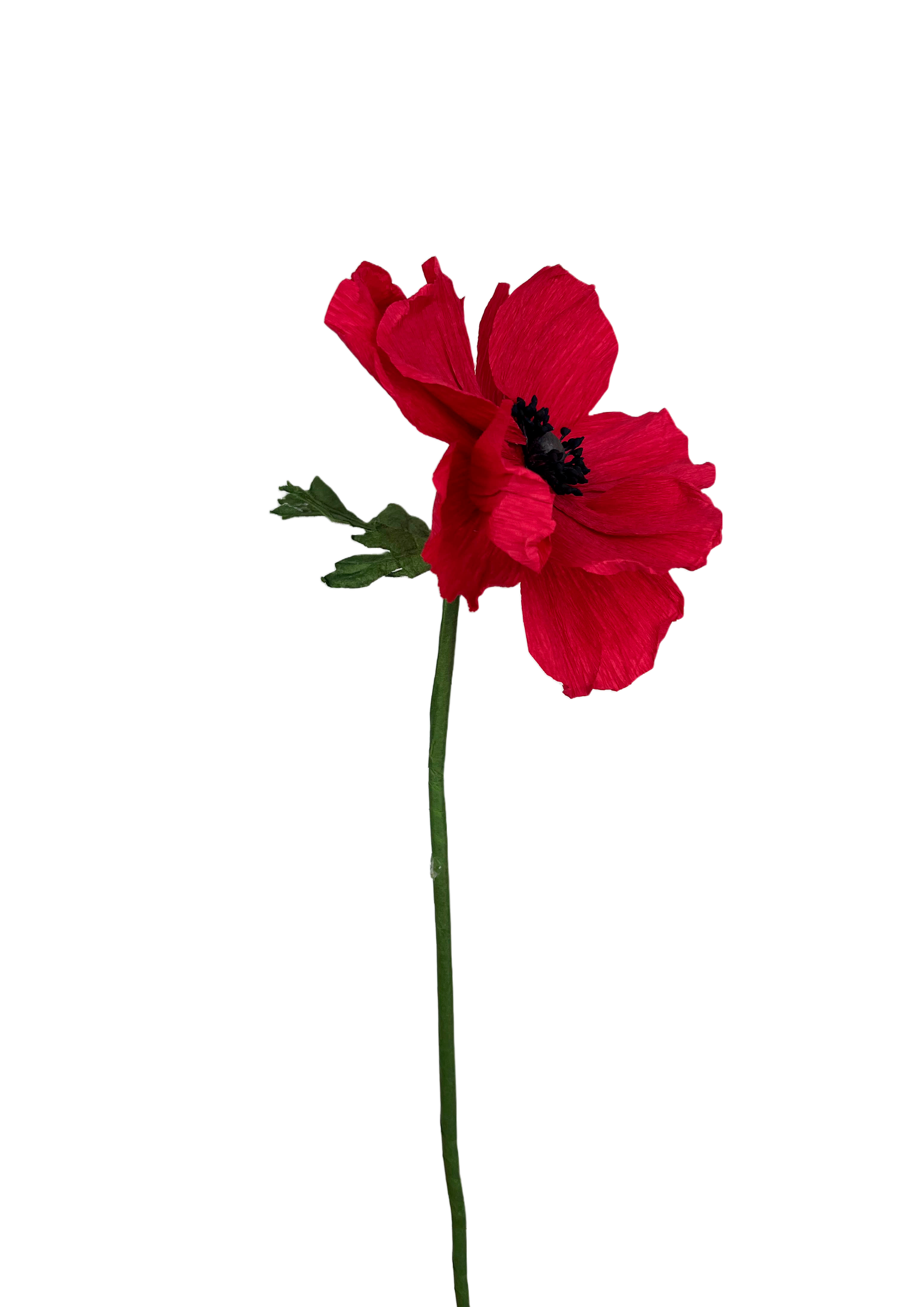 håndlavet anemone