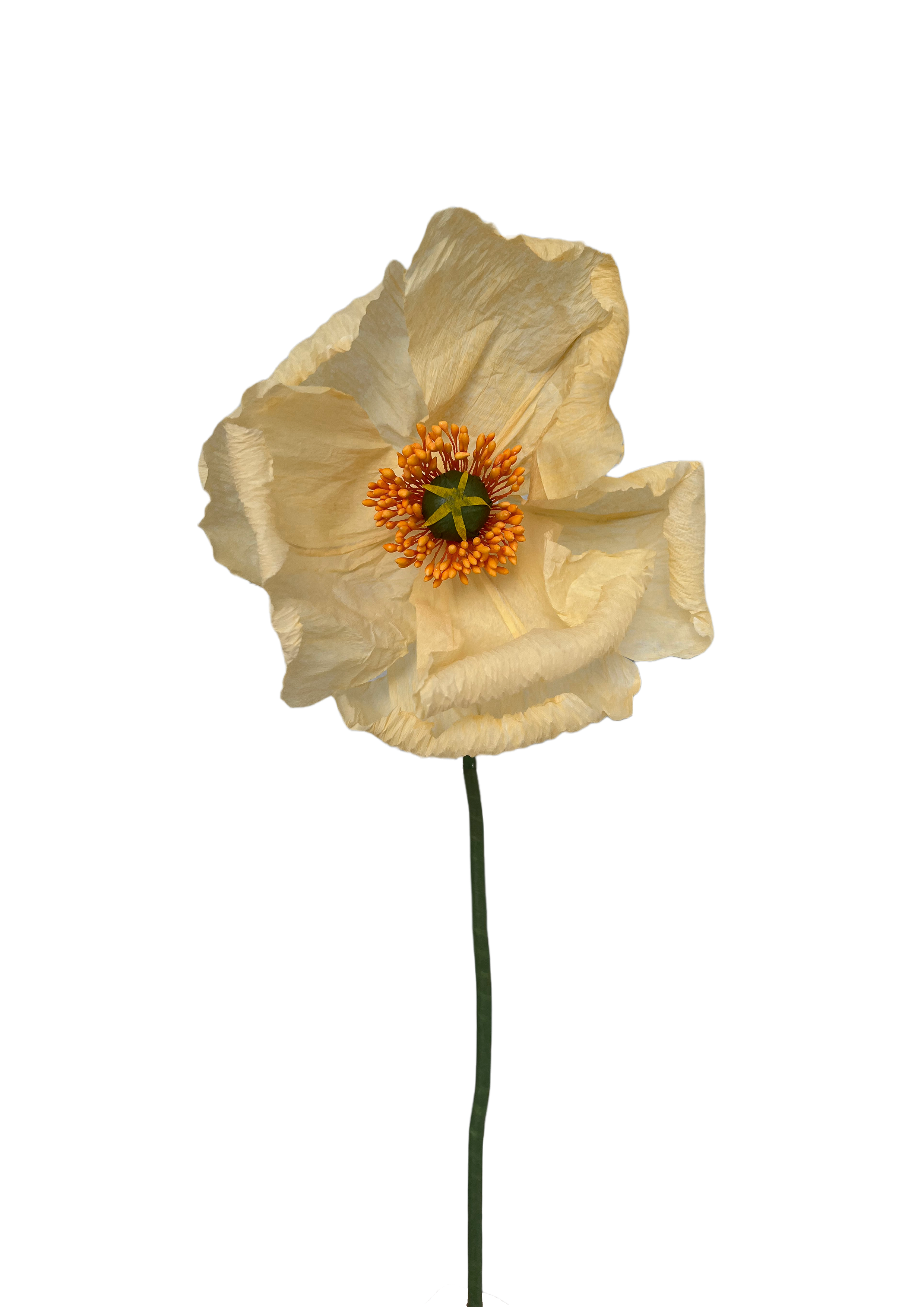 Paper flower poppy