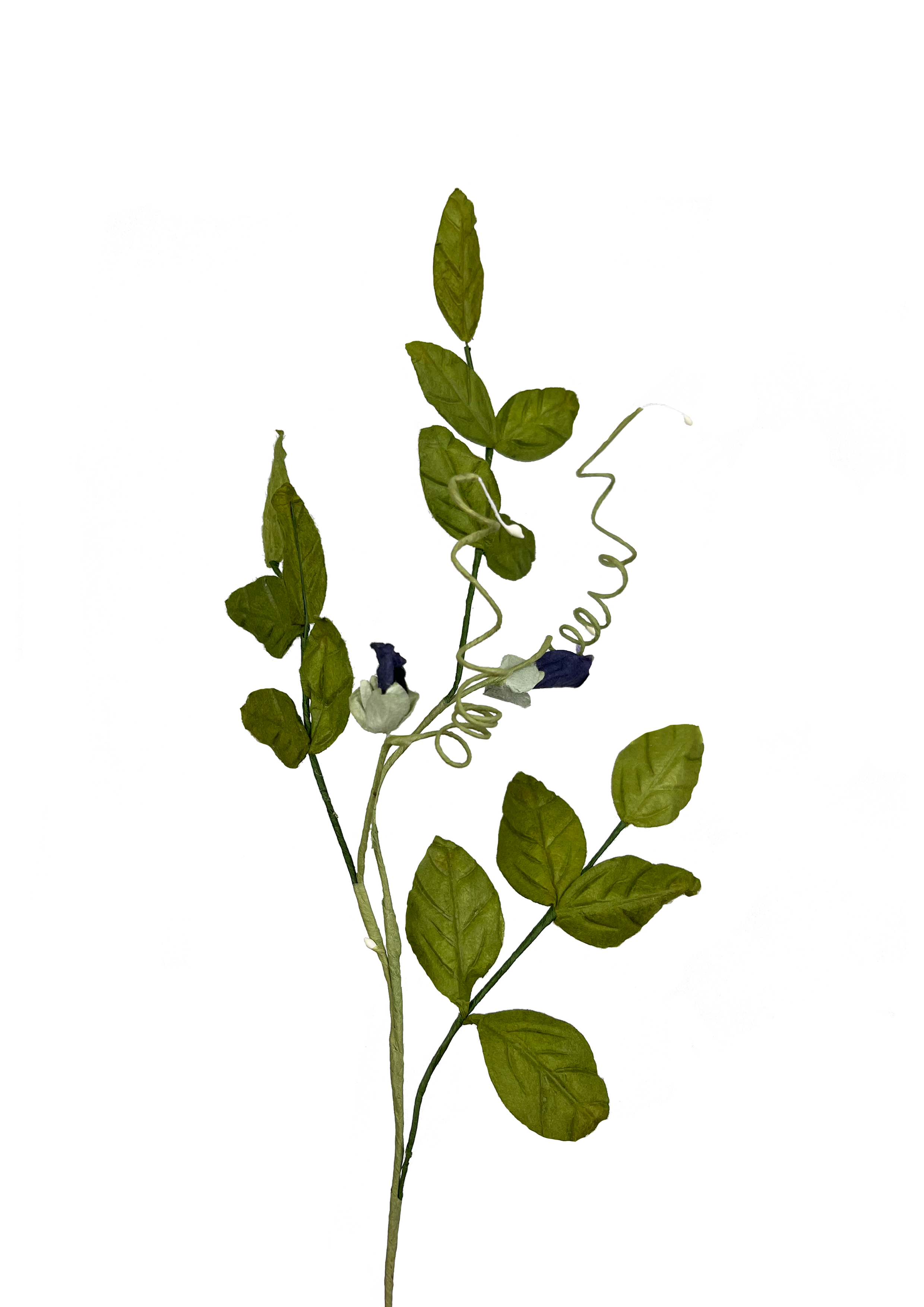 Papir evigheds blomst