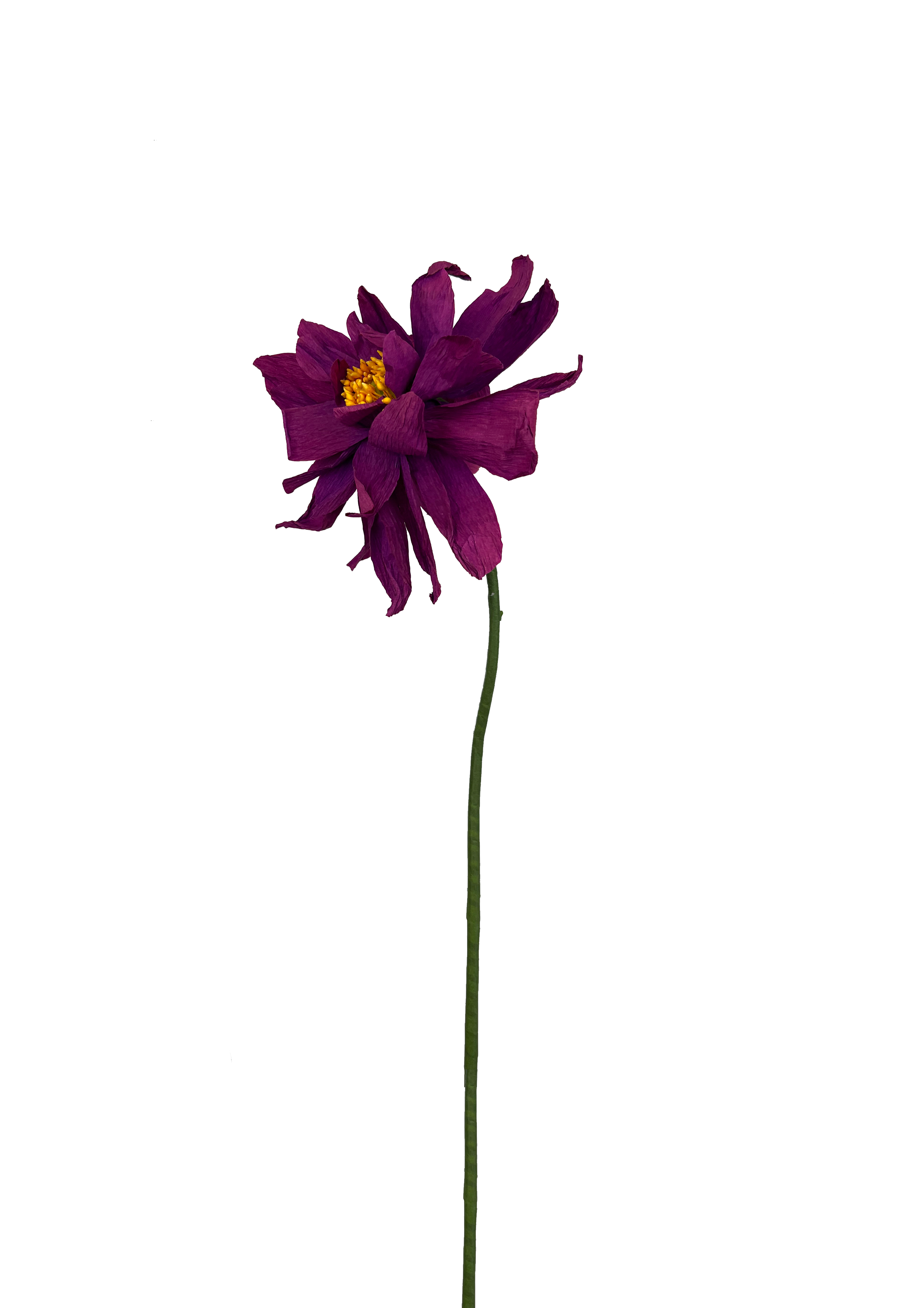 lilla papir pæon