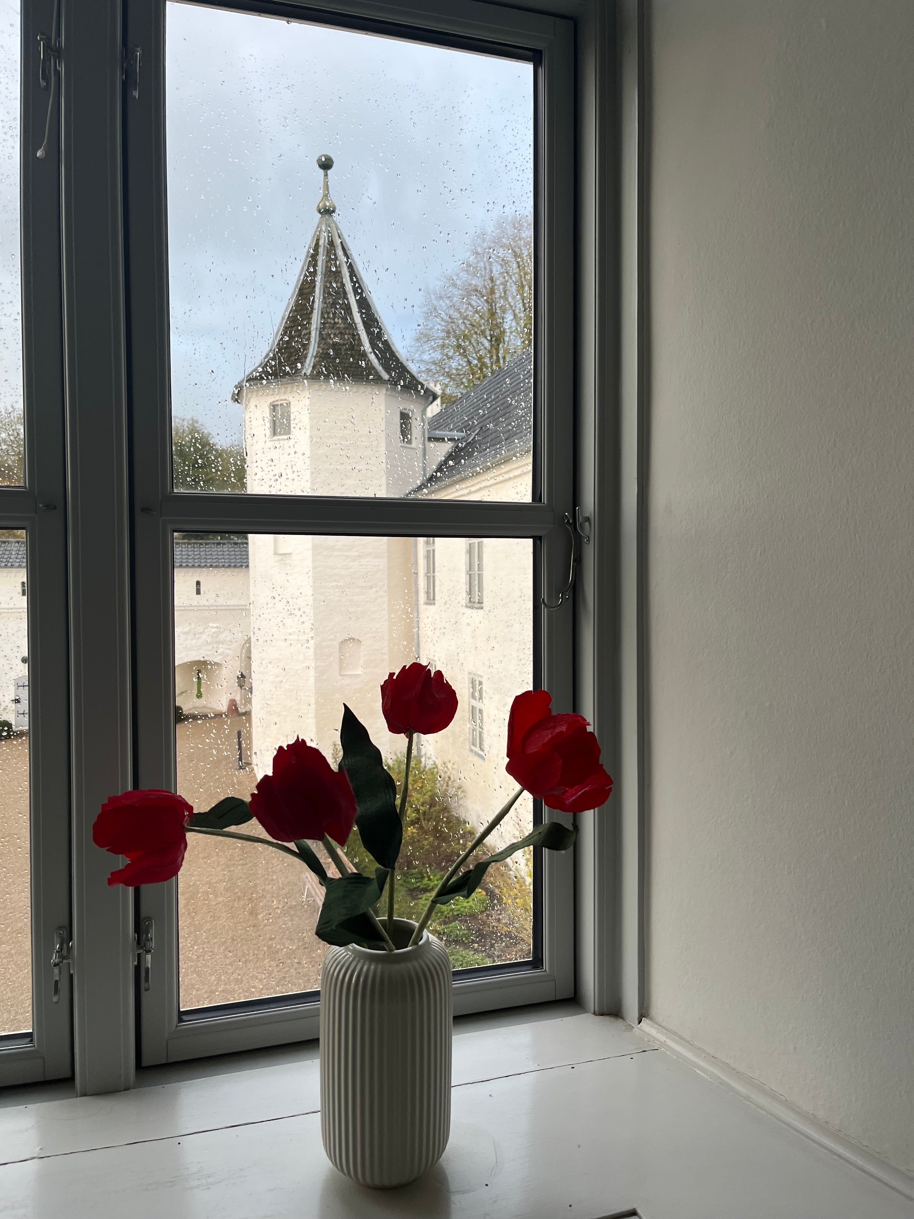 Papirblomster tulipan