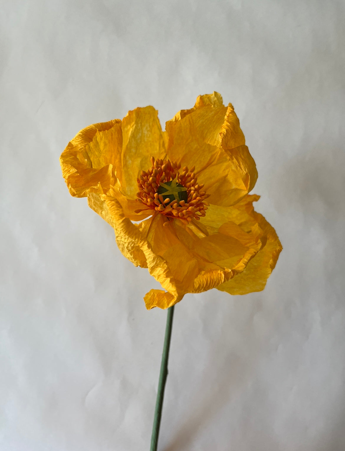 paper flower poppy