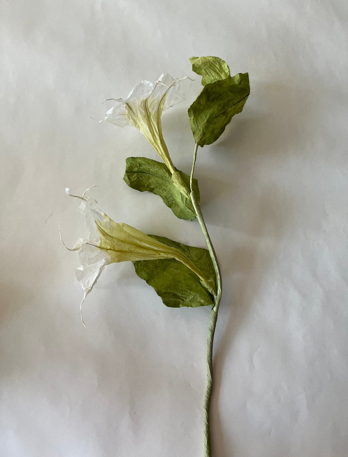 papirblomst