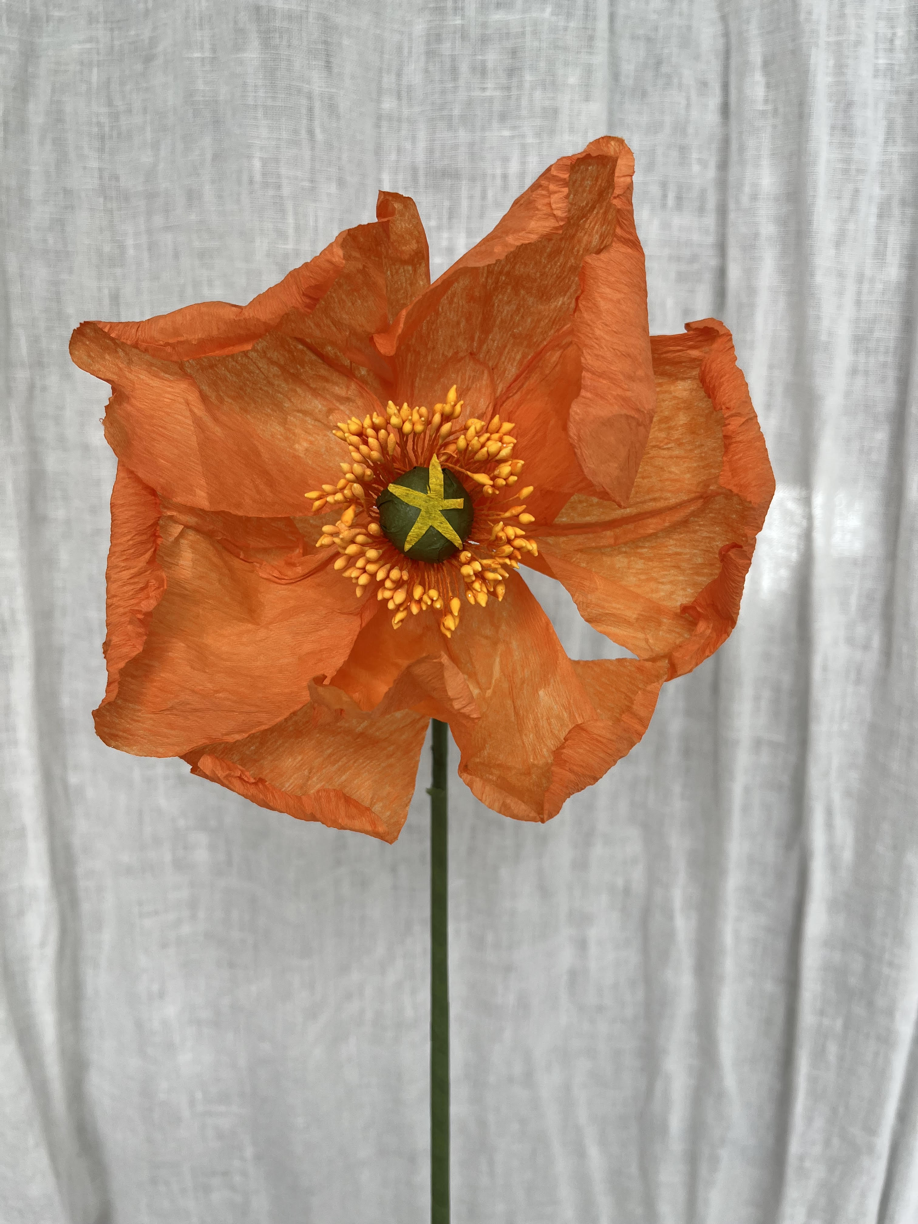 paper flower poppy