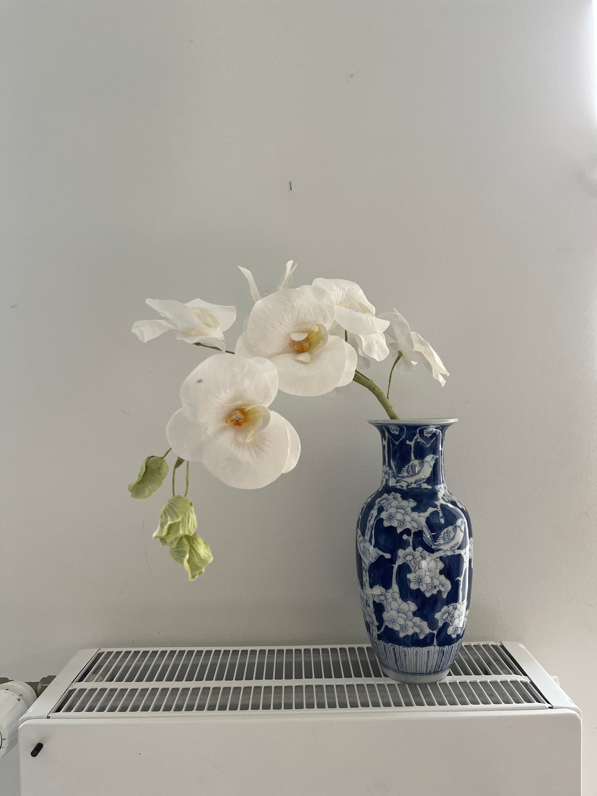 Orkide evighedsblomst