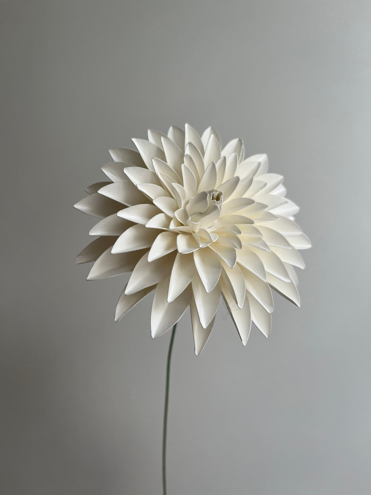 Blomster citat