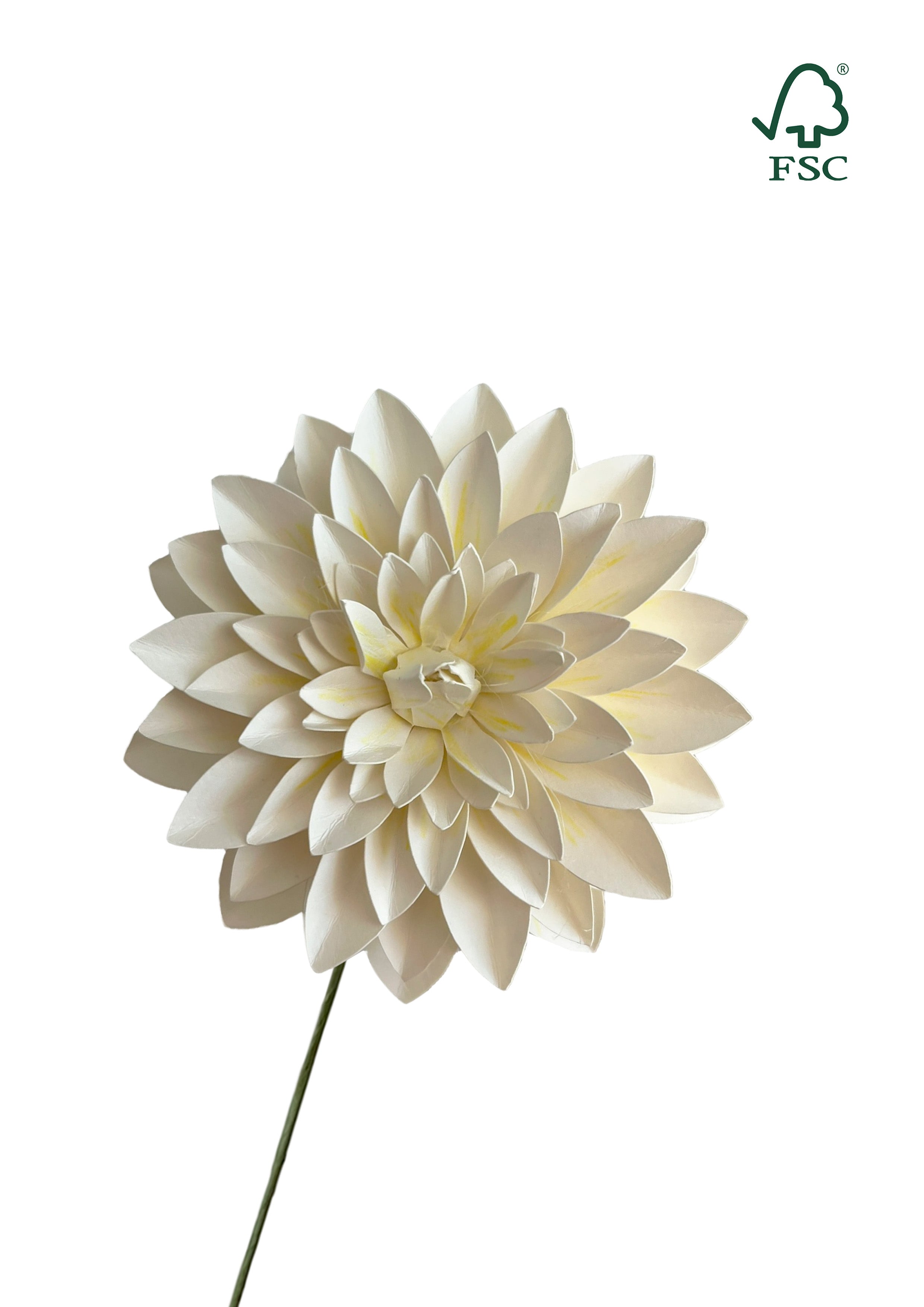 Nordic Dahlia – Hvid med Gul Midte Håndlavet & FSC®