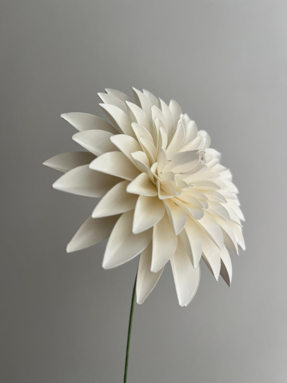 Dahlia – Hvid Papirblomst Dansk Håndværk