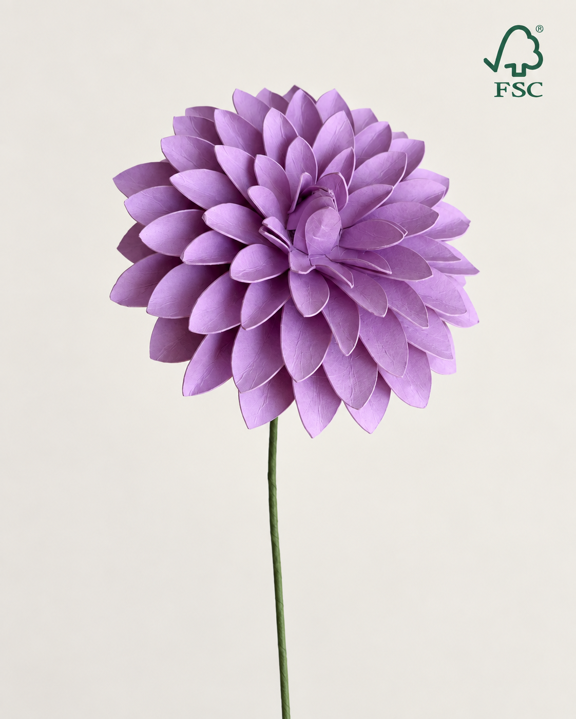 Nordic Lilla – Dahlia Evighedsblomst Håndlavet & FSC®-Papir