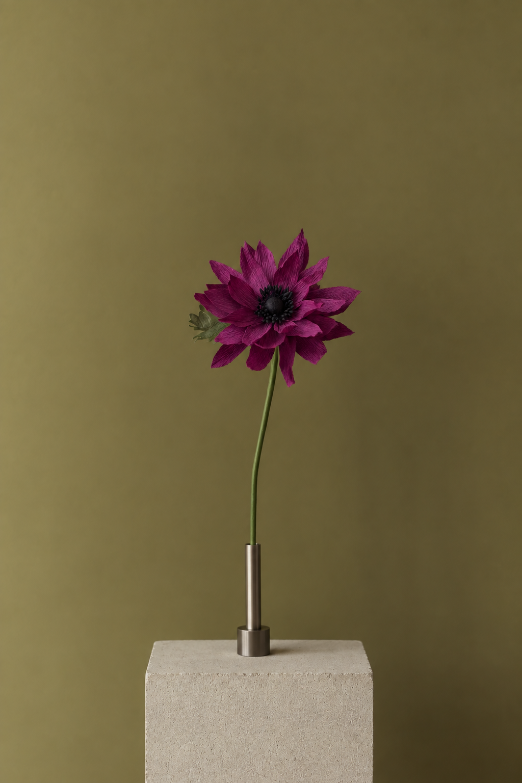 EVIGHEDSBLOMST: LILLA DAHLIA
