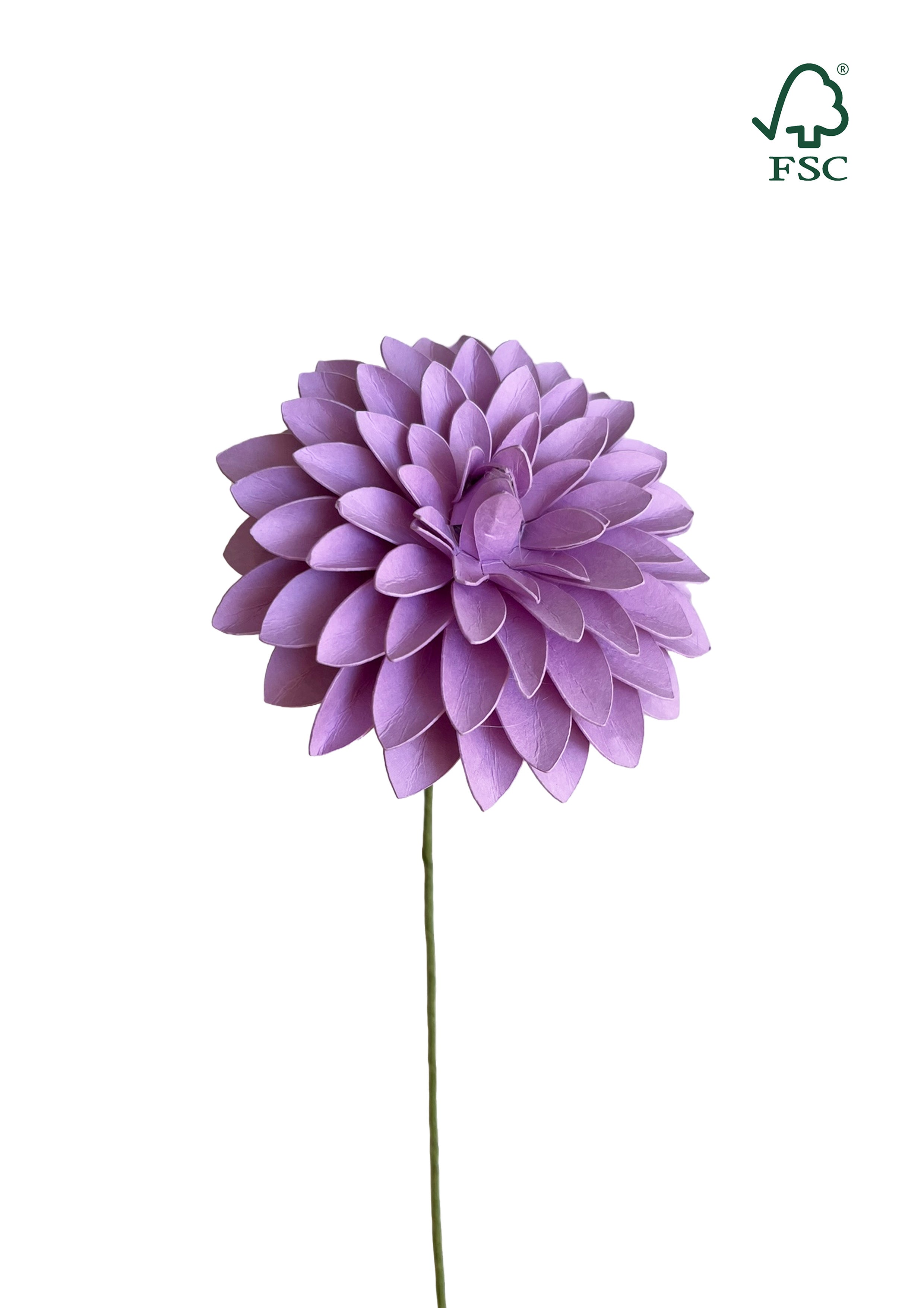 Nordic Lilla – Dahlia Evighedsblomst Håndlavet & FSC®-Papir