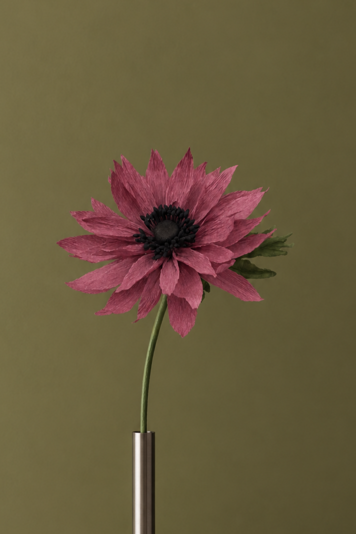 EVIGHEDSBLOMST: BORDEAUX DAHLIA
