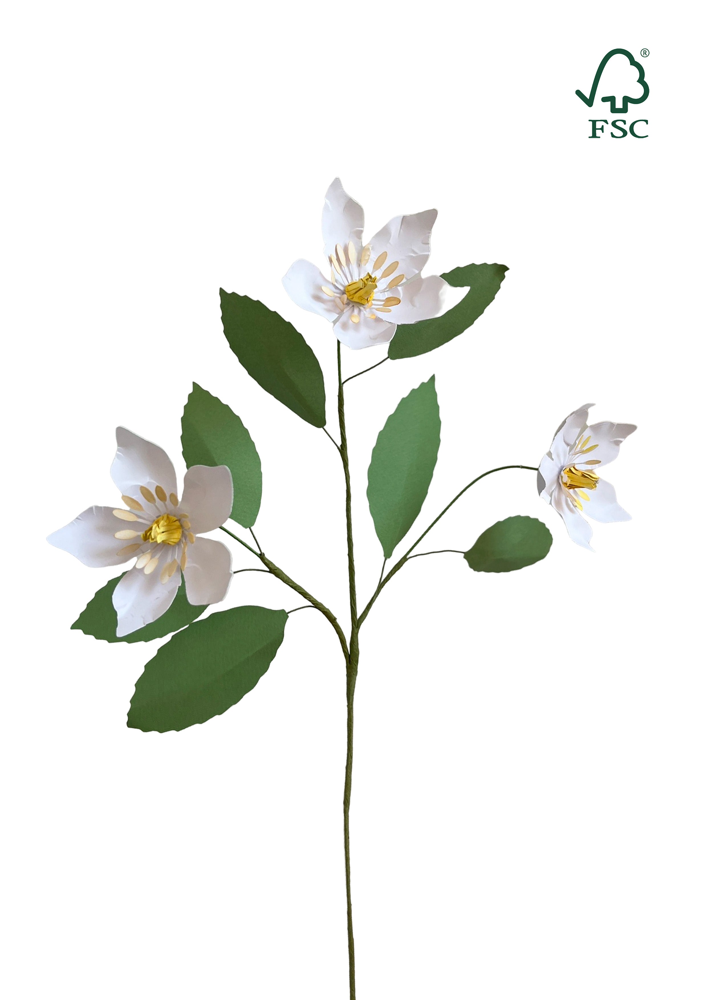 Nordic Apple Blossom -  White Edition | Evighedsblomst