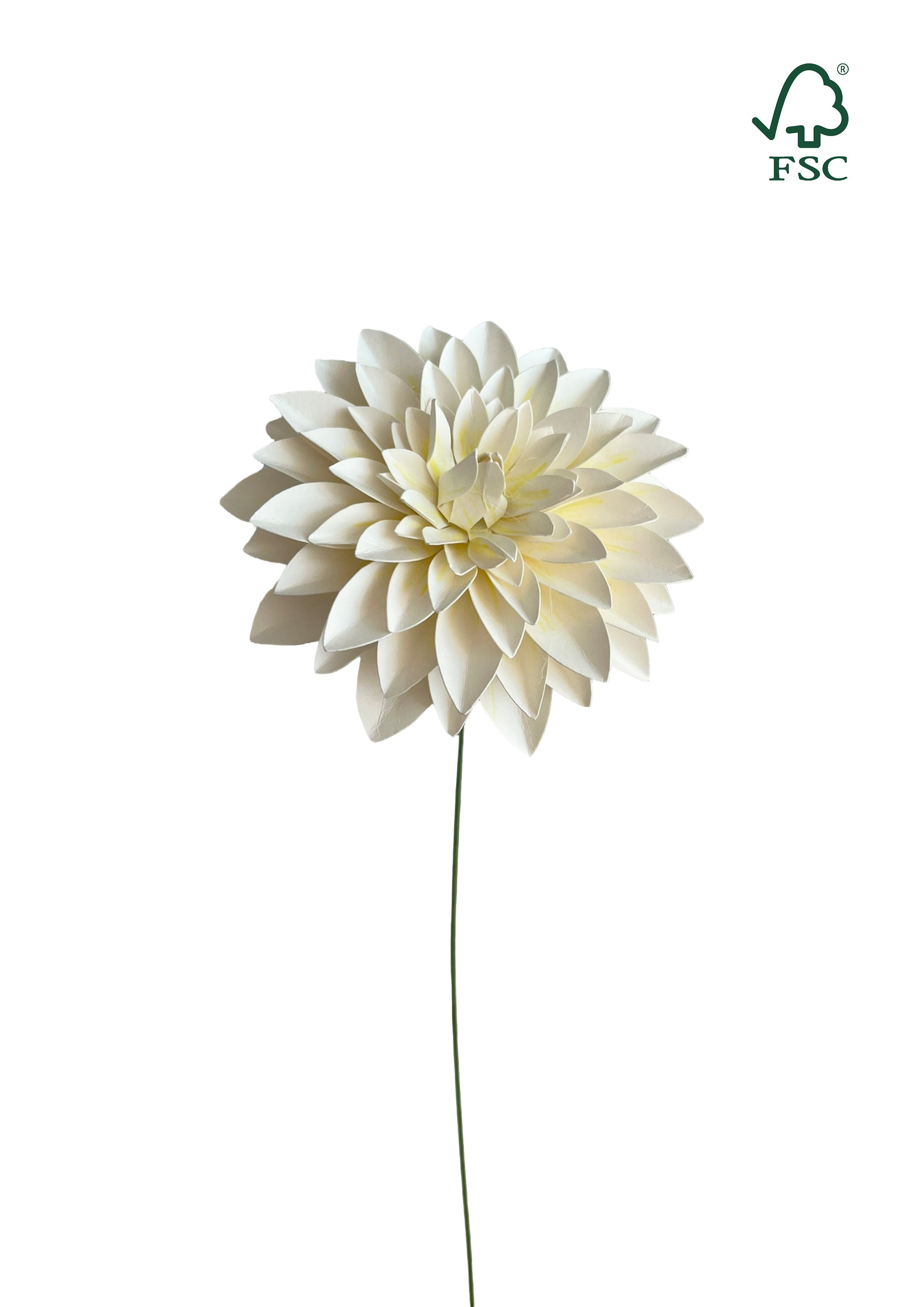 Nordic Dahlia – Hvid med Gul Midte Håndlavet & FSC®